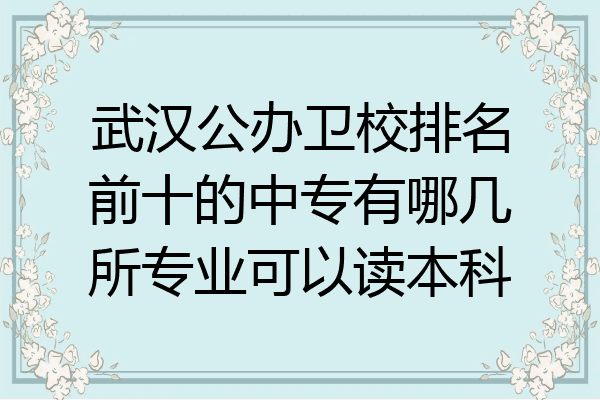 武汉公办卫校排名前十的中专有哪几所专业可以读本科