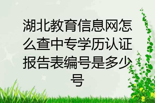 湖北教育信息网怎么查中专学历认证报告表编号是多少号