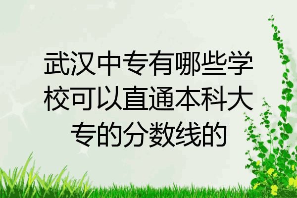 武汉中专有哪些学校可以直通本科大专的分数线的