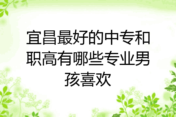 宜昌最好的中专和职高有哪些专业男孩喜欢