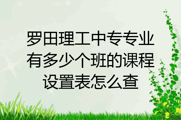 罗田理工中专专业有多少个班的课程设置表怎么查