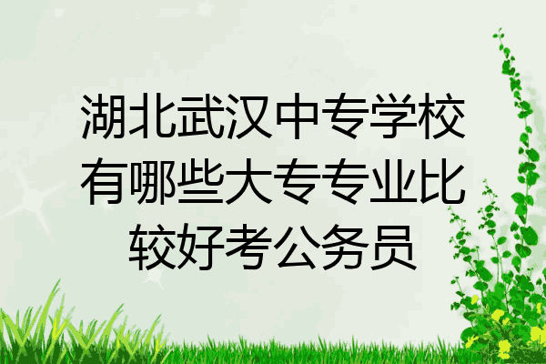 湖北武汉中专学校有哪些大专专业比较好考公务员