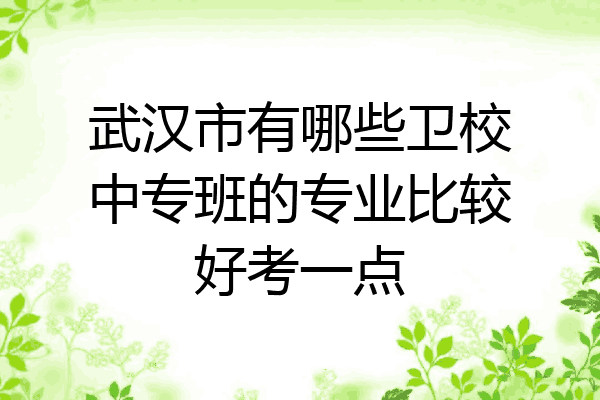 武汉市有哪些卫校中专班的专业比较好考一点
