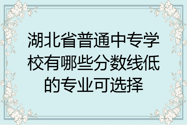 湖北省普通中专学校有哪些分数线低的专业可选择
