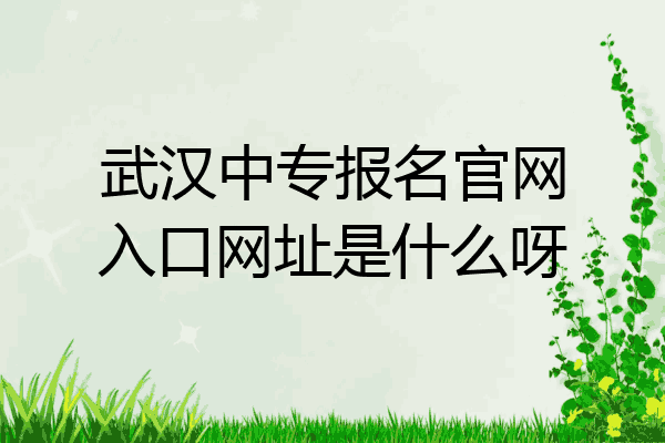 武汉中专报名官网入口网址是什么呀
