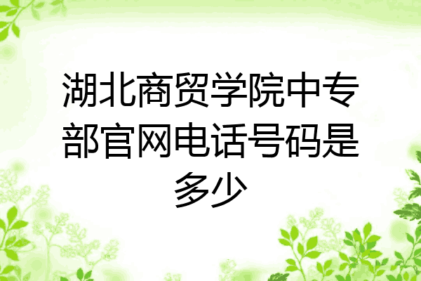 湖北商贸学院中专部官网电话号码是多少
