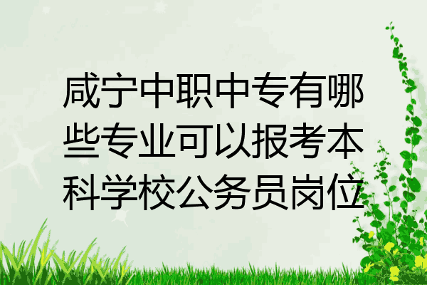 咸宁中职中专有哪些专业可以报考本科学校公务员岗位