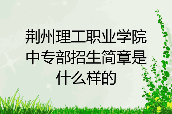 荆州理工职业学院中专部招生简章是什么样的