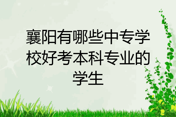 襄阳有哪些中专学校好考本科专业的学生