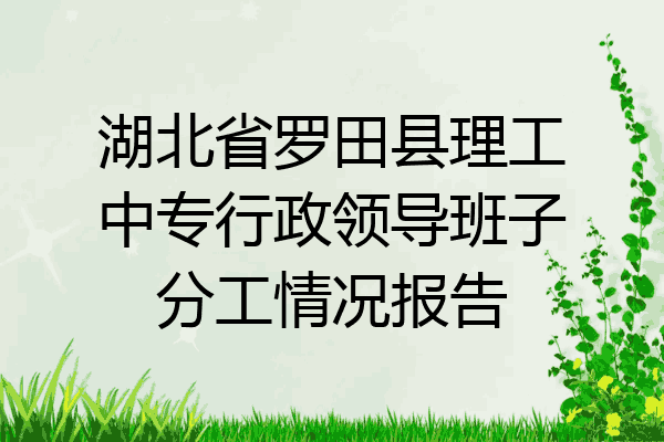 湖北省罗田县理工中专行政领导班子分工情况报告