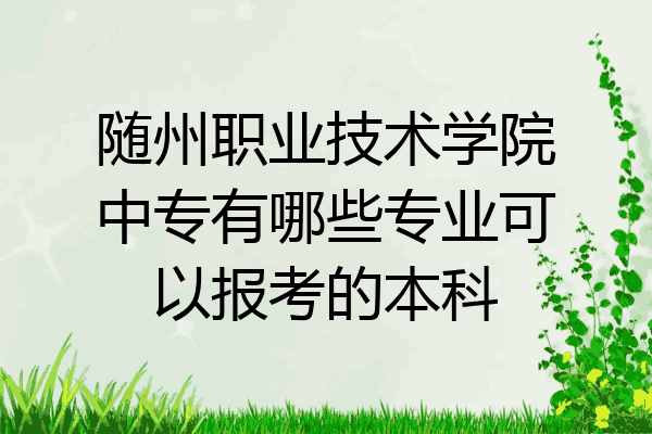 随州职业技术学院中专有哪些专业可以报考的本科
