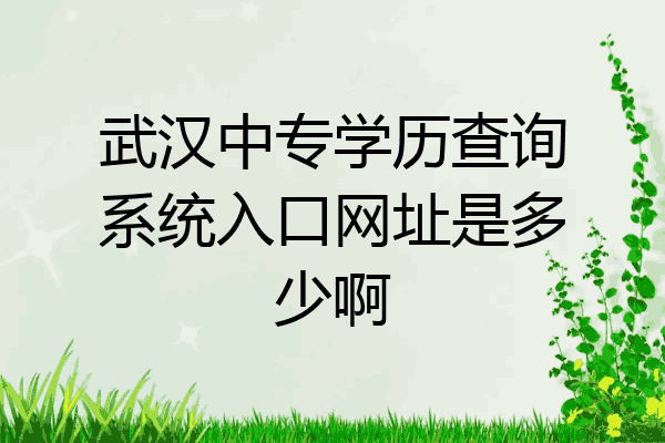 武汉中专学历查询系统入口网址是多少啊