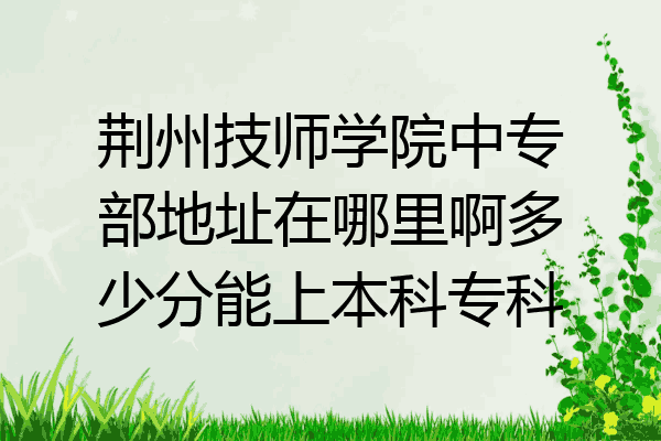 荆州技师学院中专部地址在哪里啊多少分能上本科专科