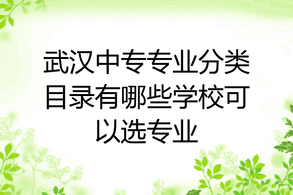 武汉中专专业分类目录有哪些学校可以选专业