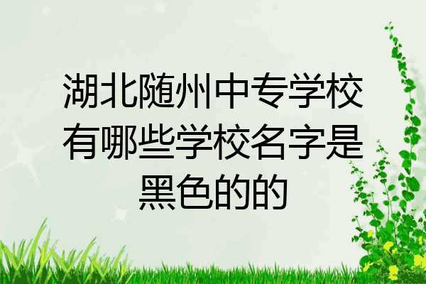 湖北随州中专学校有哪些学校名字是黑色的的
