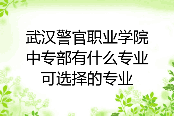 武汉警官职业学院中专部有什么专业可选择的专业