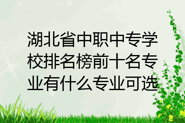 湖北省中职中专学校排名榜前十名专业有什么专业可选