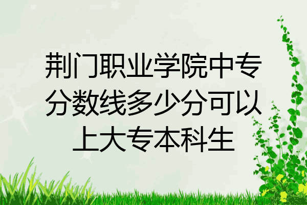 荆门职业学院中专分数线多少分可以上大专本科生