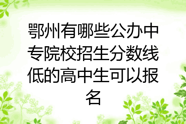 鄂州有哪些公办中专院校招生分数线低的高中生可以报名