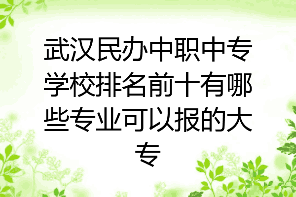 武汉民办中职中专学校排名前十有哪些专业可以报的大专