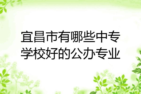 宜昌市有哪些中专学校好的公办专业