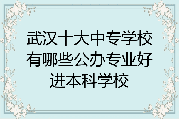 武汉十大中专学校有哪些公办专业好进本科学校