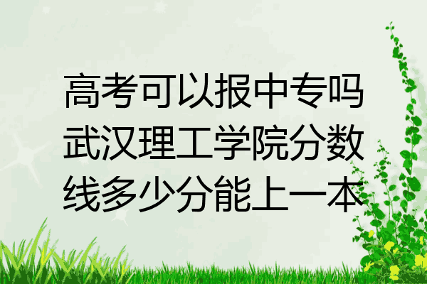 高考可以报中专吗武汉理工学院分数线多少分能上一本