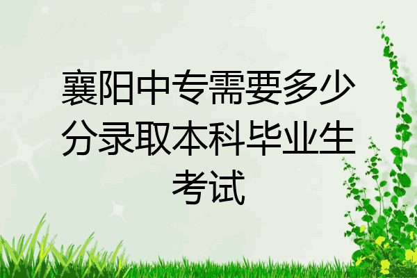 襄阳中专需要多少分录取本科毕业生考试