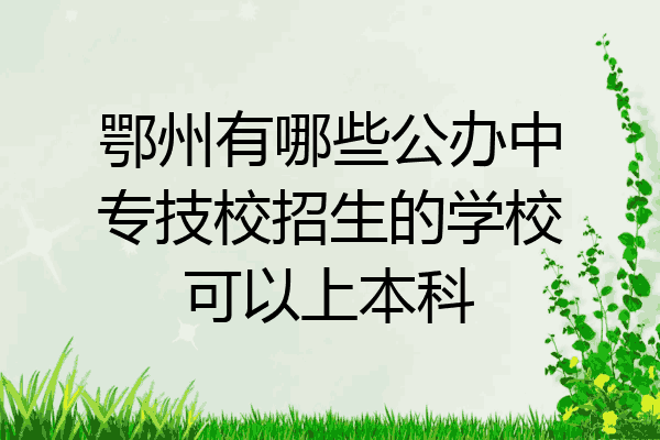 鄂州有哪些公办中专技校招生的学校可以上本科