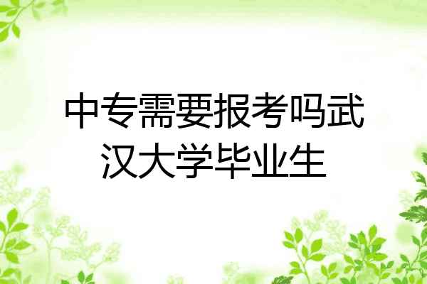 中专需要报考吗武汉大学毕业生