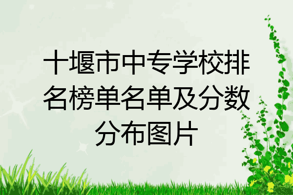 十堰市中专学校排名榜单名单及分数分布图片