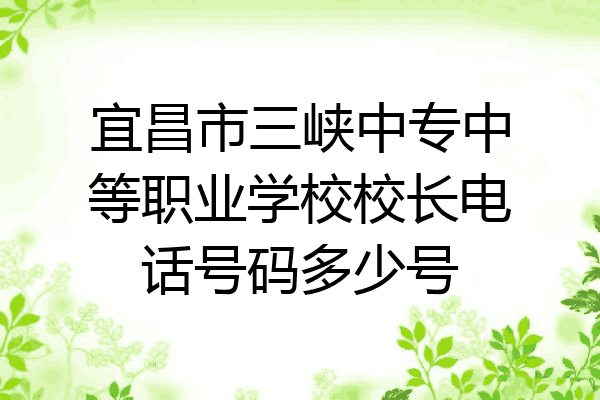 宜昌市三峡中专中等职业学校校长电话号码多少号