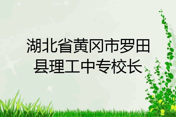 湖北省黄冈市罗田县理工中专校长