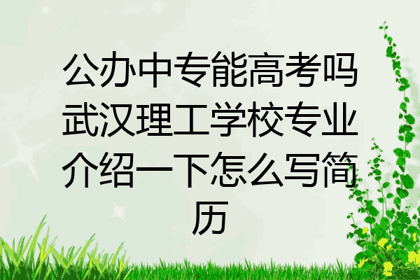 公办中专能高考吗武汉理工学校专业介绍一下怎么写简历