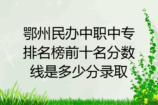 鄂州民办中职中专排名榜前十名分数线是多少分录取