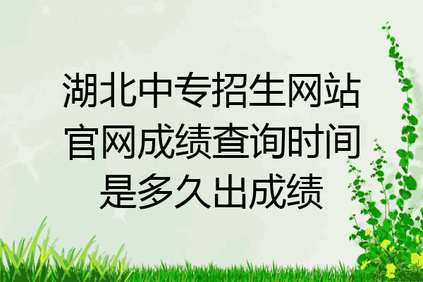 湖北中专招生网站官网成绩查询时间是多久出成绩