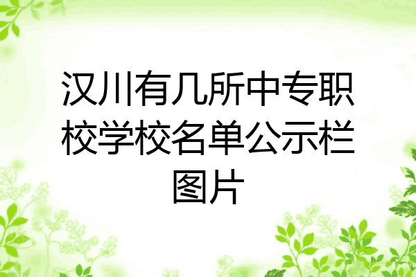 汉川有几所中专职校学校名单公示栏图片
