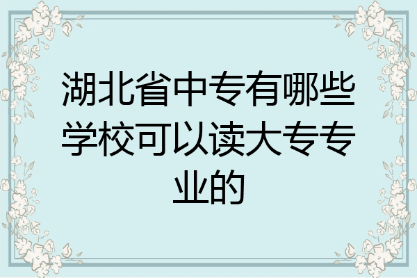 湖北省中专有哪些学校可以读大专专业的