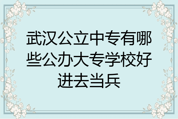 武汉公立中专有哪些公办大专学校好进去当兵
