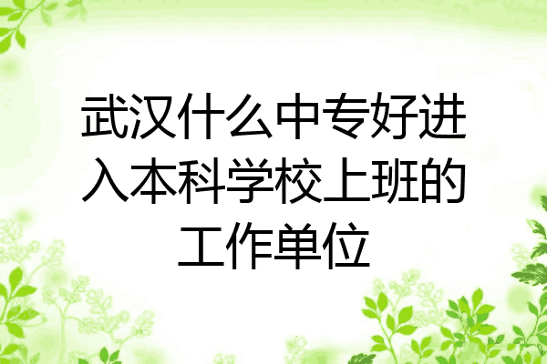 武汉什么中专好进入本科学校上班的工作单位