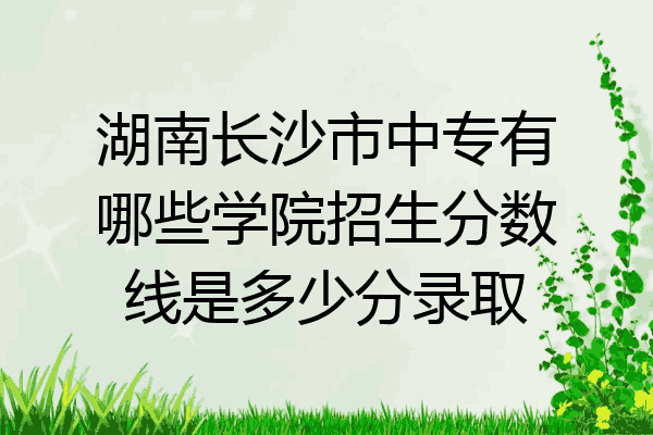 湖南长沙市中专有哪些学院招生分数线是多少分录取