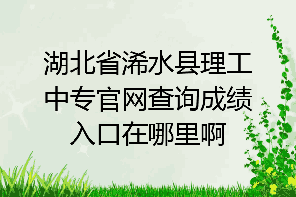 湖北省浠水县理工中专官网查询成绩入口在哪里啊