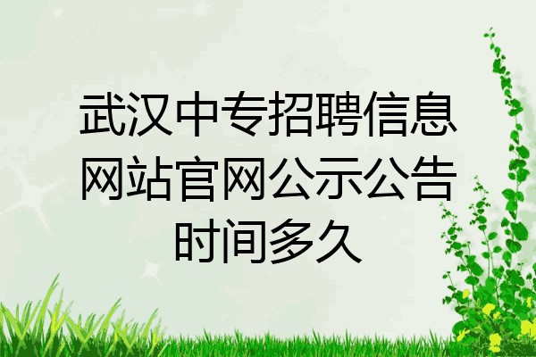 武汉中专招聘信息网站官网公示公告时间多久