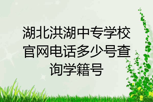 湖北洪湖中专学校官网电话多少号查询学籍号
