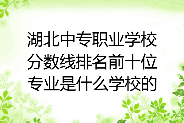 湖北中专职业学校分数线排名前十位专业是什么学校的