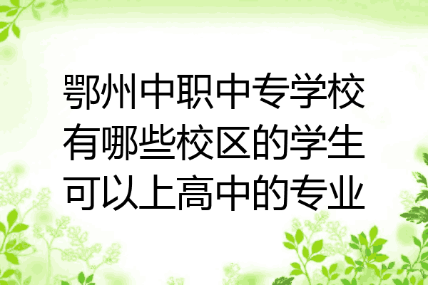 鄂州中职中专学校有哪些校区的学生可以上高中的专业