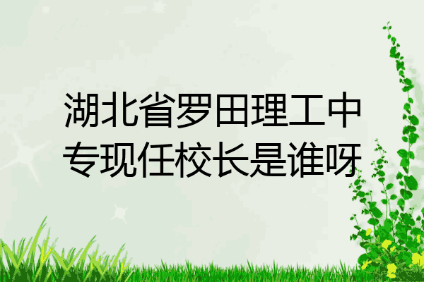 湖北省罗田理工中专现任校长是谁呀
