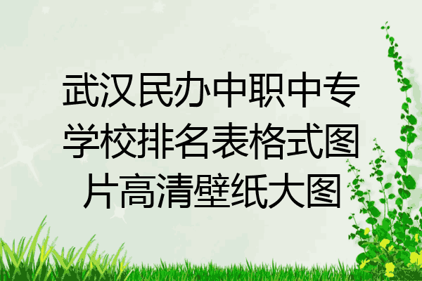 武汉民办中职中专学校排名表格式图片高清壁纸大图