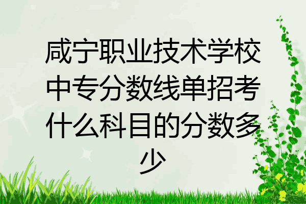 咸宁职业技术学校中专分数线单招考什么科目的分数多少