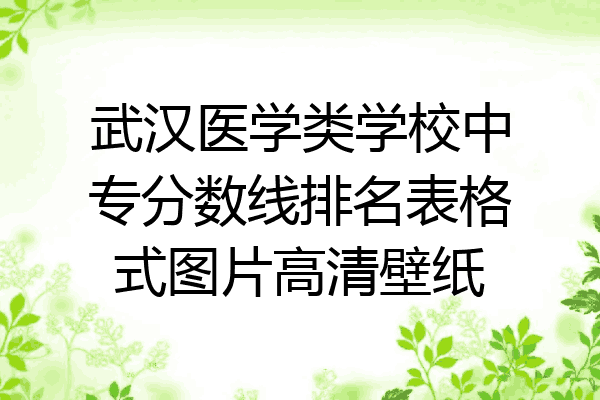武汉医学类学校中专分数线排名表格式图片高清壁纸